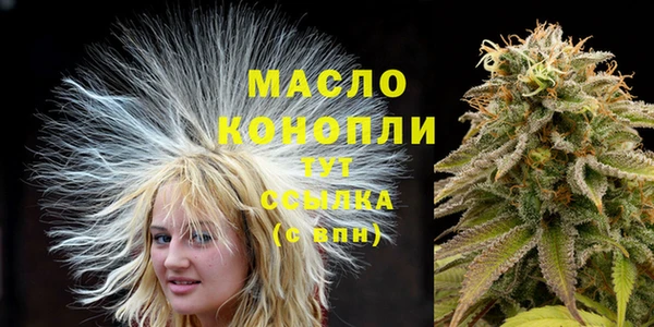 эйфоретик Майский