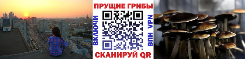 продажа наркотиков  Лабытнанги  Галлюциногенные грибы MAGIC MUSHROOMS 