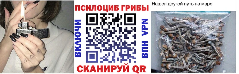 Галлюциногенные грибы мицелий Лабытнанги