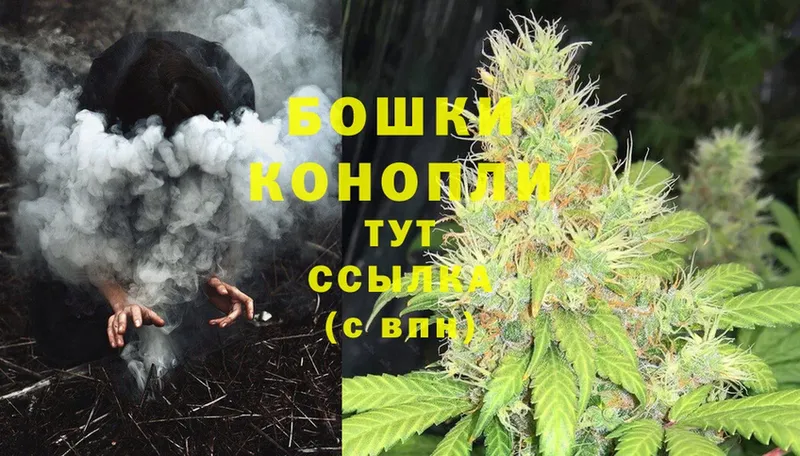 Бошки марихуана SATIVA & INDICA  наркошоп  площадка телеграм  Лабытнанги 